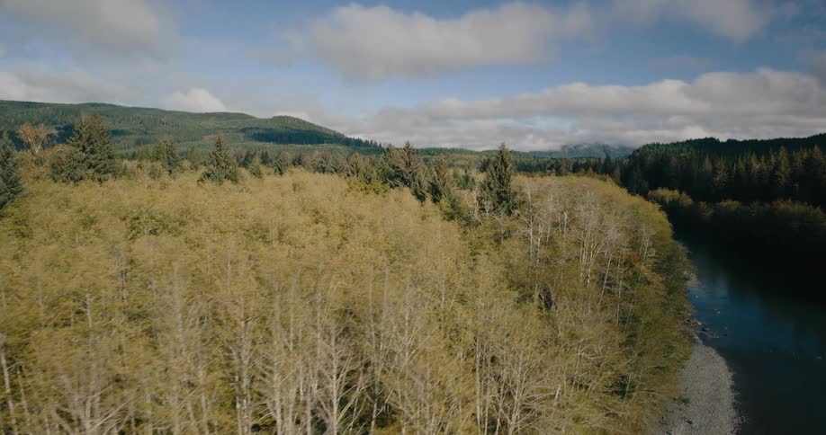 An aerial view of a river winding through a forest where trees with autumn foliage line the rocky bank contrasting with the blue water