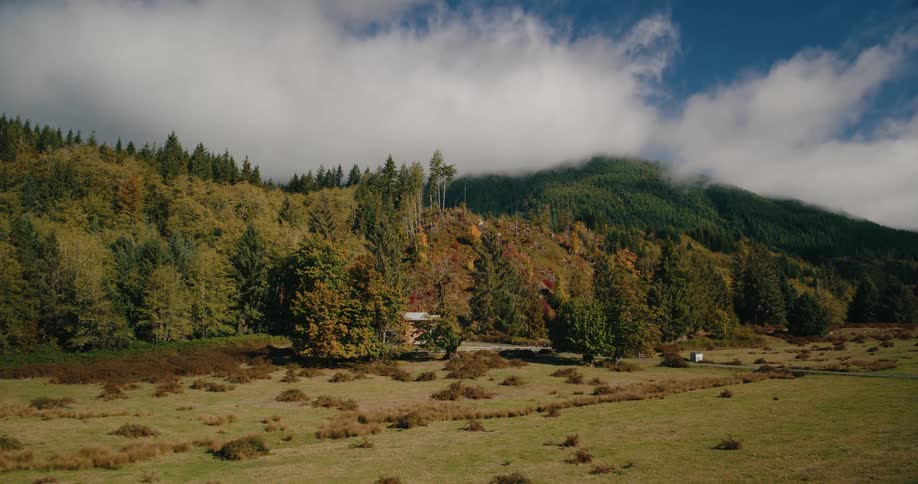 A single home is near the large forest