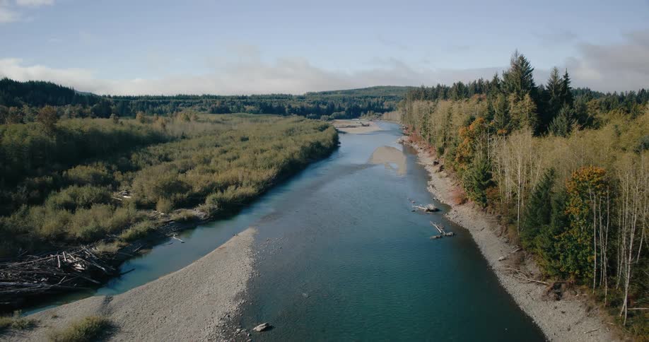 A footage of a river in a woods land