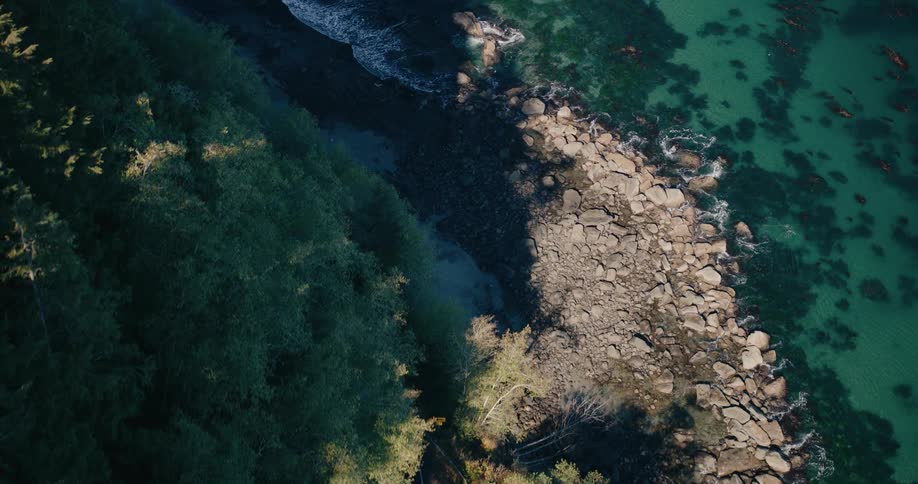 An aerial view of a rocky shoreline where dark rugged rocks meet the clear turquoise waters of the ocean with the edge of a lush green forest visible on the left