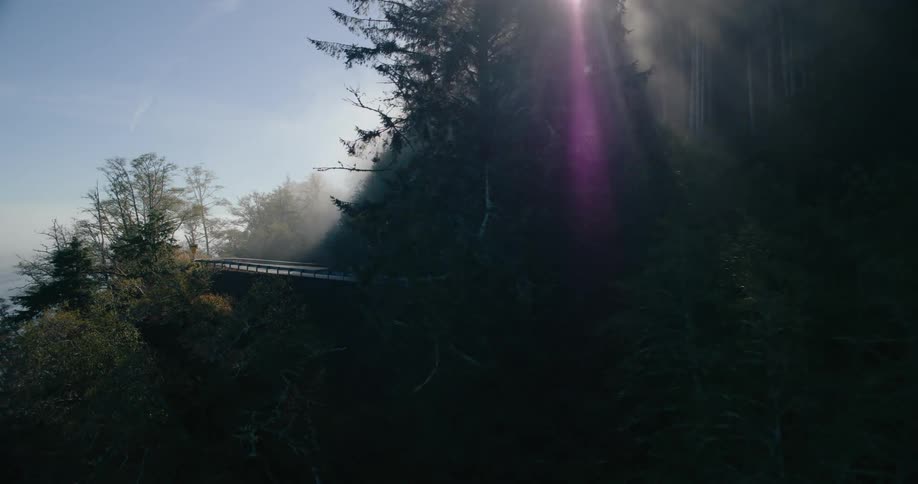 Mist rises from a forested hillside partially obscuring the trees and a winding road below