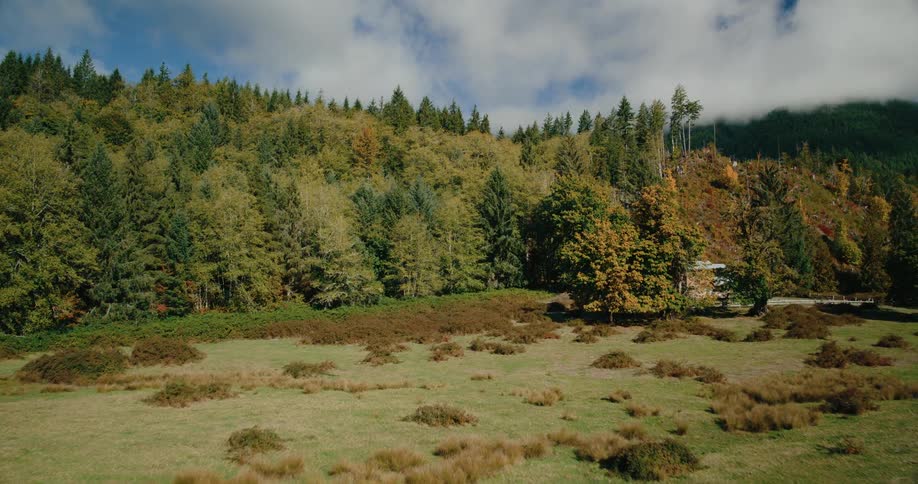 A rustic wooden fence runs across a grassy field leading towards a lush forest of trees with a mix of green and autumn colors set against a backdrop of a cloudy sky and distant mountains