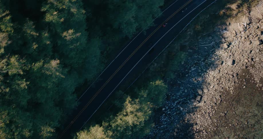 The road is covered in shade from the forest