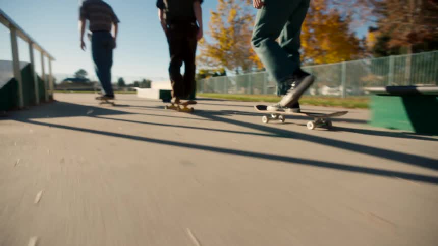 A group of friends skate together at a skatepark on a sunny morning