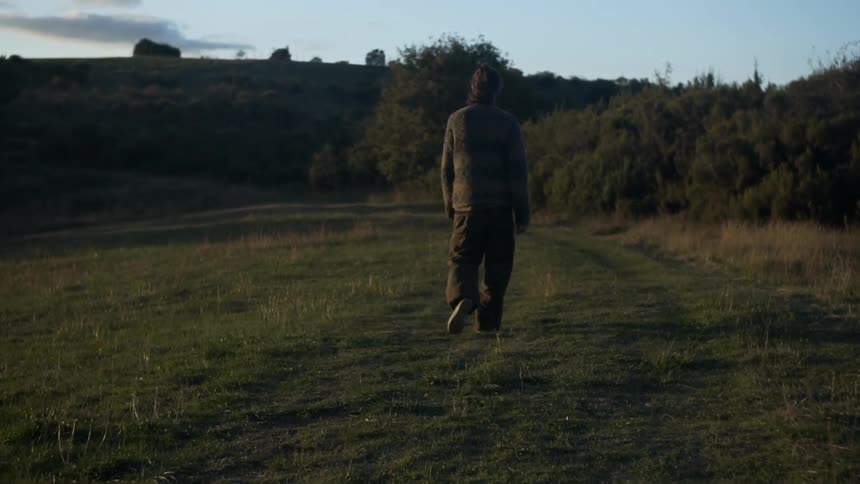A person walking in a field