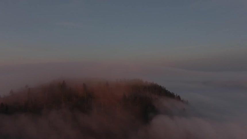 An aerial view shows the treecovered top of a mountain emerging through a thick blanket of fog or low clouds below a clear sky
