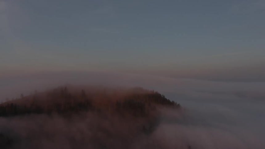 A dusky sky reveals the dark tree covered peak of a mountain rising above a layer of low lying clouds