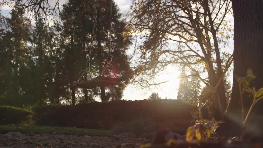 A wooden swing hangs suspended from a large tree in a backyard at sunset