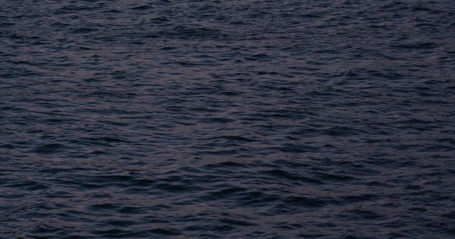 Waves flow in the water