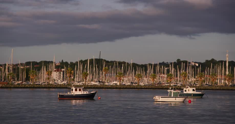 Boats floating near a harbor with sailboats in the background