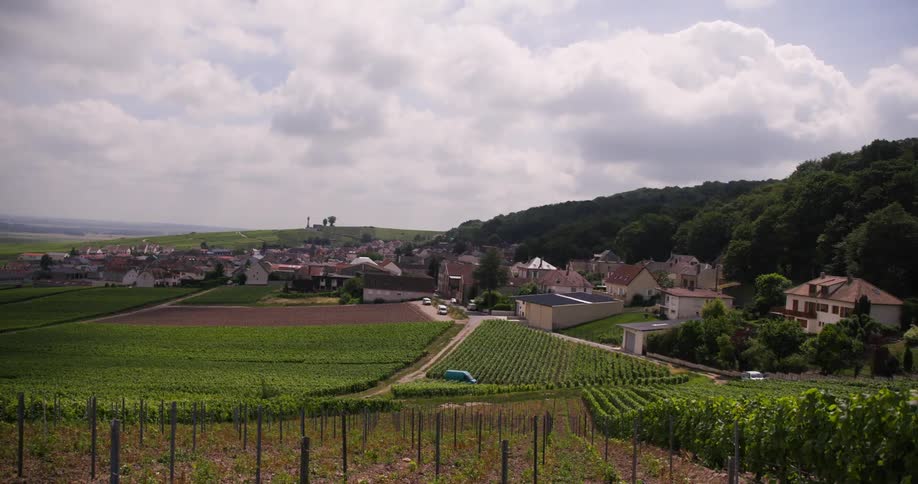 A tranquil rural village surrounded by flourishing vineyards and fields with houses nestled along the edge of a forested hill under partly cloudy skies