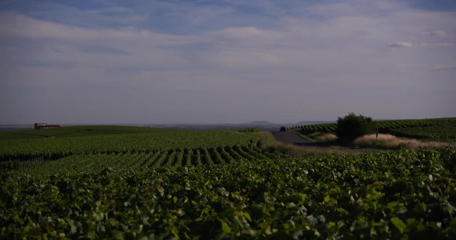 A car drives past the green farm