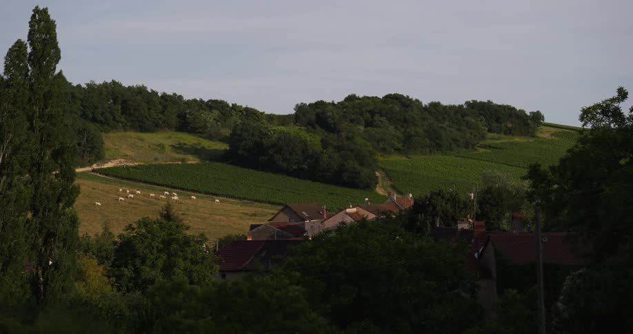 An aerial view of a large farm