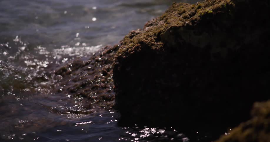 A mosscovered rock rests partially submerged in shimmering water with sunlight glinting off the rippled surface