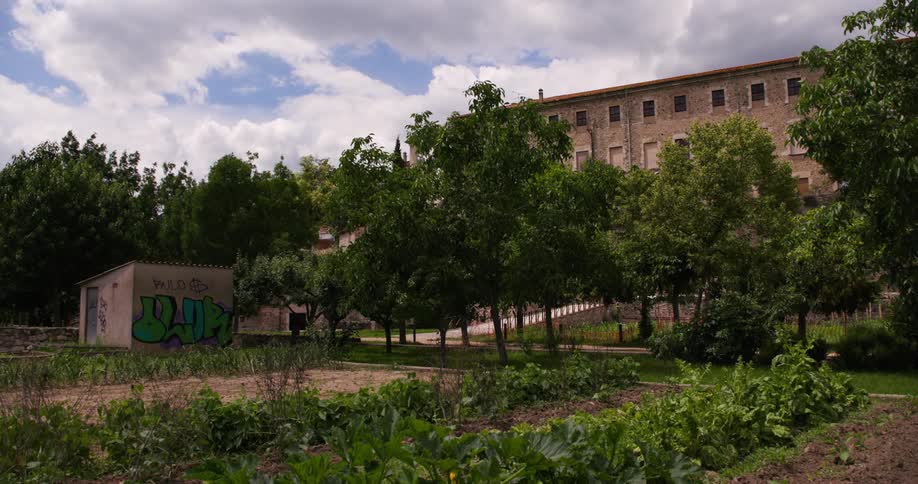 A vibrant garden filled with diverse plants and trees stands in front of a graffiticovered building with an old brick structure in the background under a partly cloudy sky