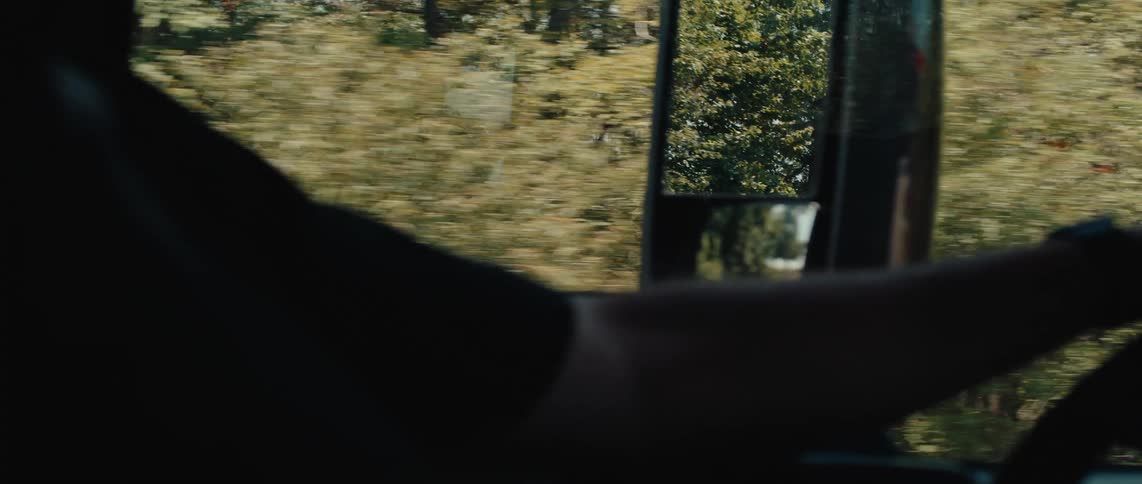 A truck driver is traveling past the forest