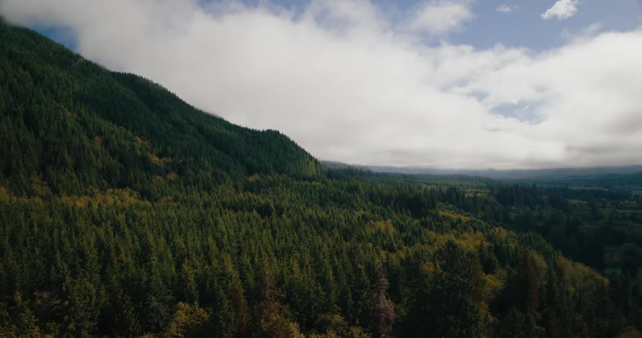 Clouds are moving fast above the wooded mountain tops