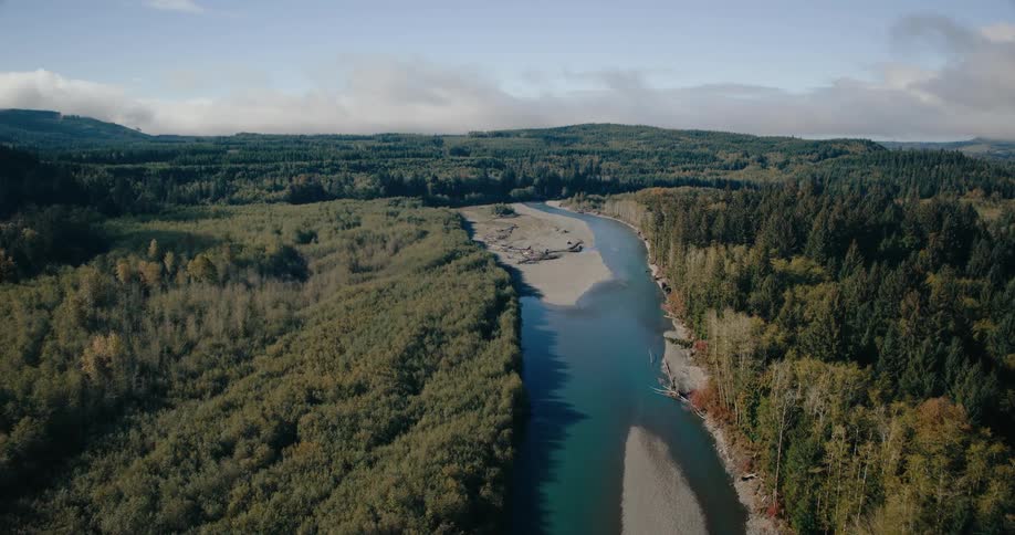 Aerial view of a narrow river surrounded by dense forests