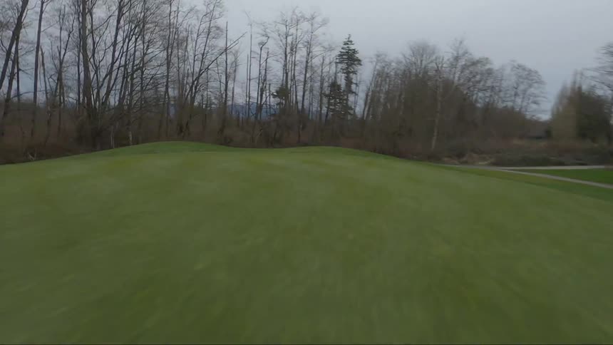Golf ball rolls towards the hole on a golf course surrounded by leafless trees