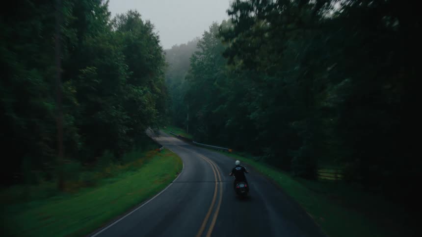 A person on a motorcycle drives down a road lined with trees under a cloudy sky