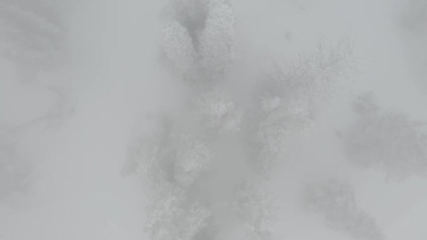Aerial view of a forest with snow and fog