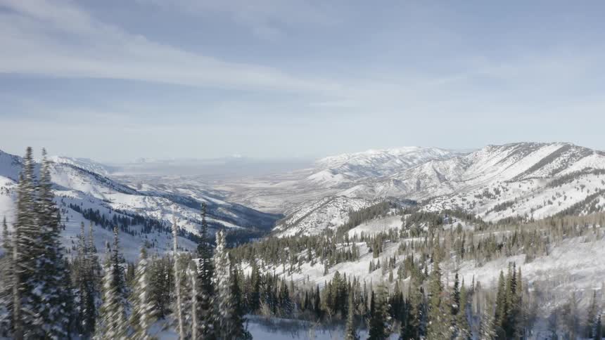 Aerial landscape of snowy mountain ranges and conifers