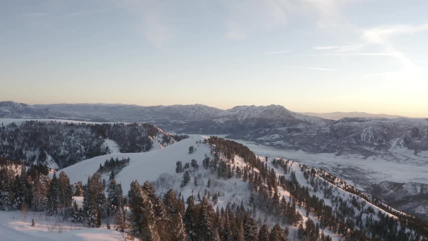 Landscape of snowy mountains and conifers at dawn