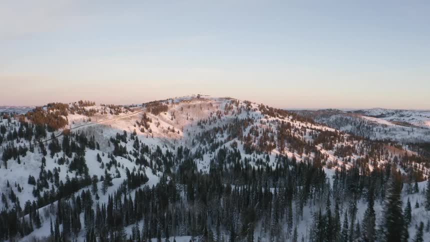 Landscape of a coniferous forest in snowy mountains at dawn