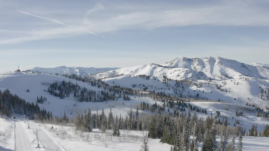Mountain range with snow and conifers