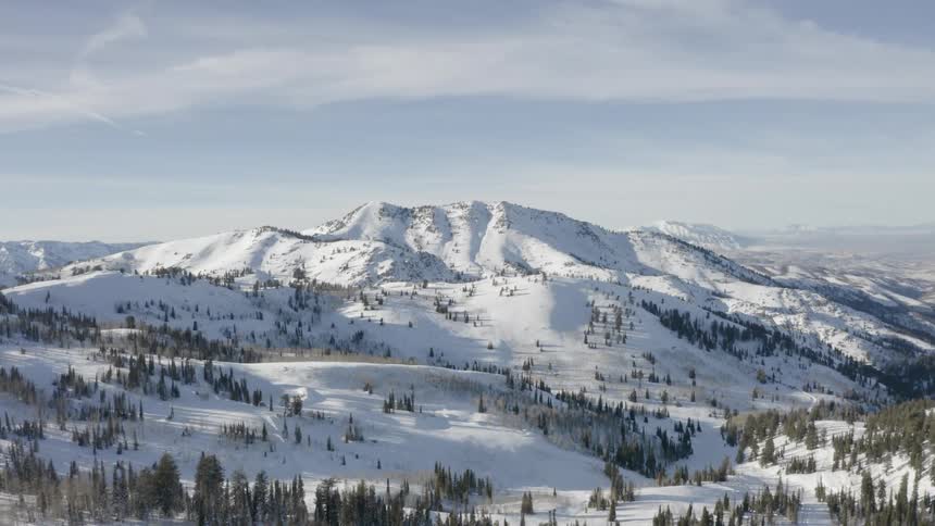 Landscape of snowy mountains and conifers