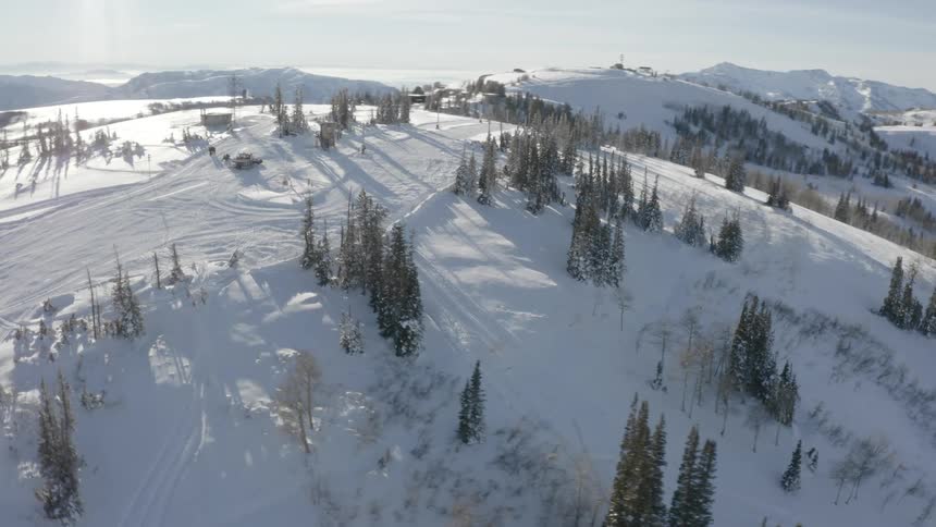 Aerial landscape of snowy mountains and conifers