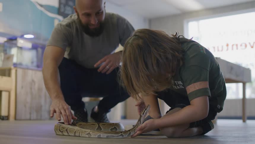 Child accompanied by an adult interacting with a snake