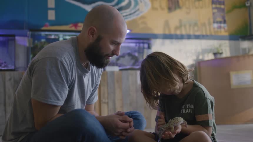 Child accompanied by an adult holding a small animal in their hands