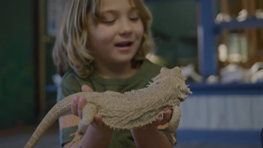 Child holding an iguana in the palms of his hands