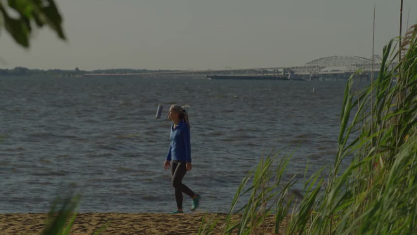 Framed partially by tall green reeds swaying in the foreground a woman in a blue top and dark leggings walks along the sandy shoreline of a large body of water on a sunny day