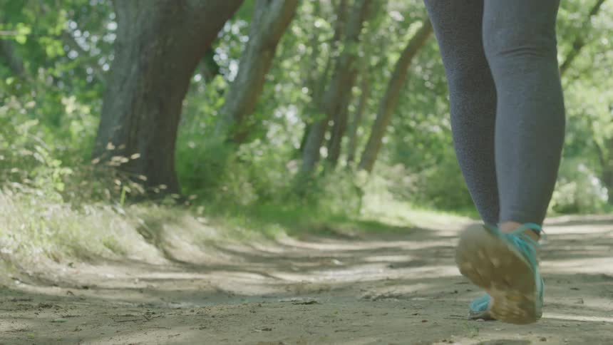 Legs of a person walking along a trail surrounded by vegetation