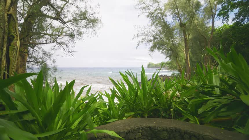 Tropical scenery that reveals a beautiful beach