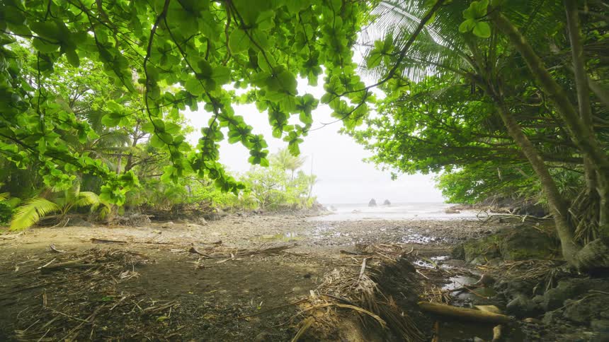 From a pointofview perspective the viewer walks forward along a dirt path littered with debris emerging from lush tropical jungle vegetation towards a rocky beach and the ocean