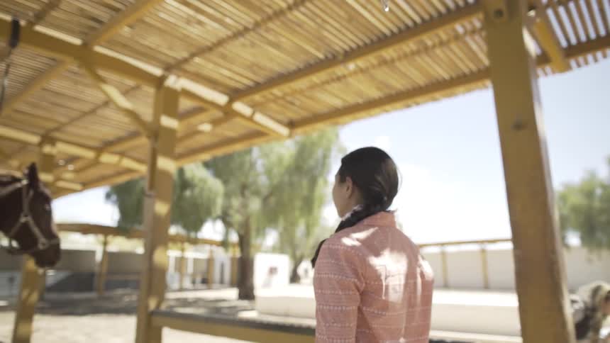 Under a slatted wooden roof outdoors a woman walks towards a brown horse reaching out to gently touch its muzzle