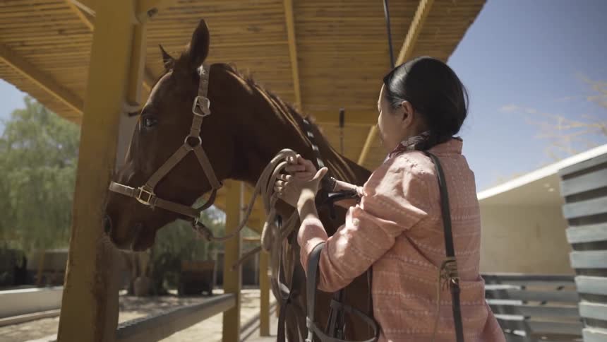 A woman gently strokes the face of a brown horse wearing a halter inside a stable