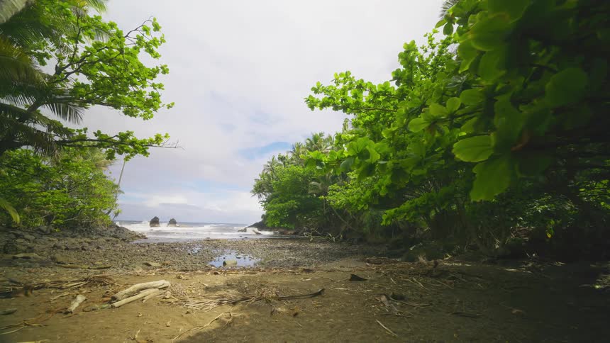 Waves crash against rugged rocks on a shoreline framed by dense tropical vegetation and a distant island