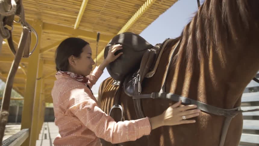 A woman saddles up a horse