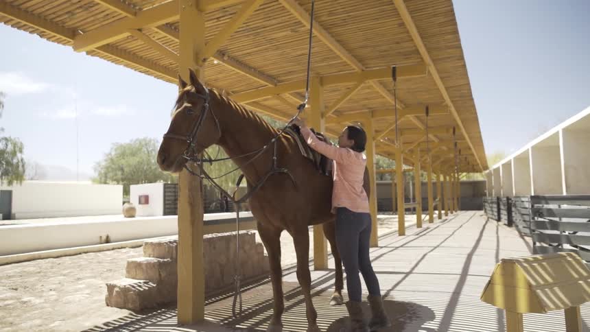A woman saddles a brown horse under a wooden shelter with a yellow bench nearby under a clear blue sky