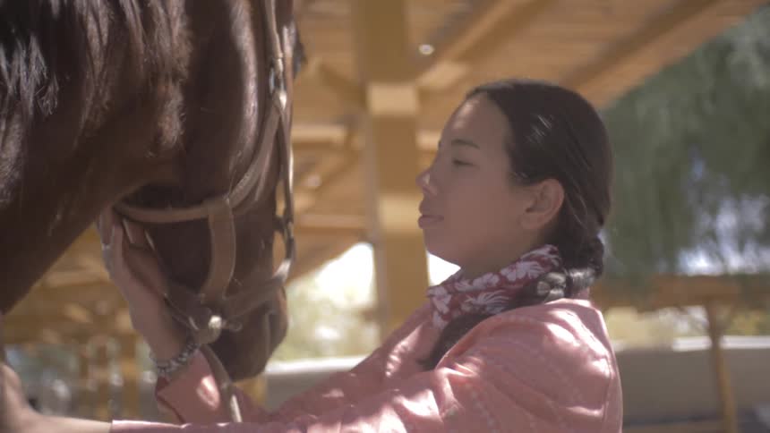 A teenage girl pets a brown horse on a ranch on a sunny summer day