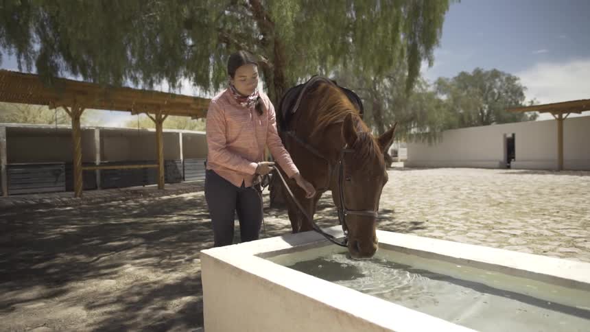 A woman pets her horse as it drinks water