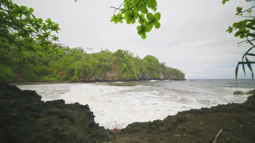 A clearing in the tropical jungle leads to a rugged shoreline with waves crashing against a dark sand and rocks
