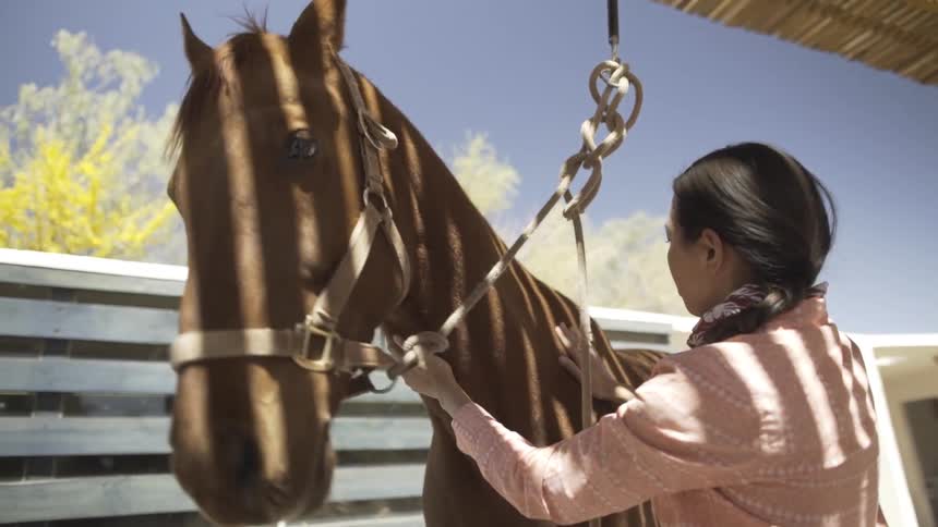 A woman wearing a pink shirt and bandana gently strokes the neck and face of a calm brown horse standing beneath a covered walkway on a sunny day