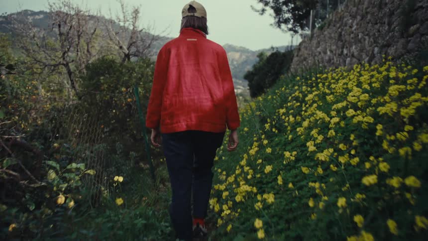 A person takes a nature walk