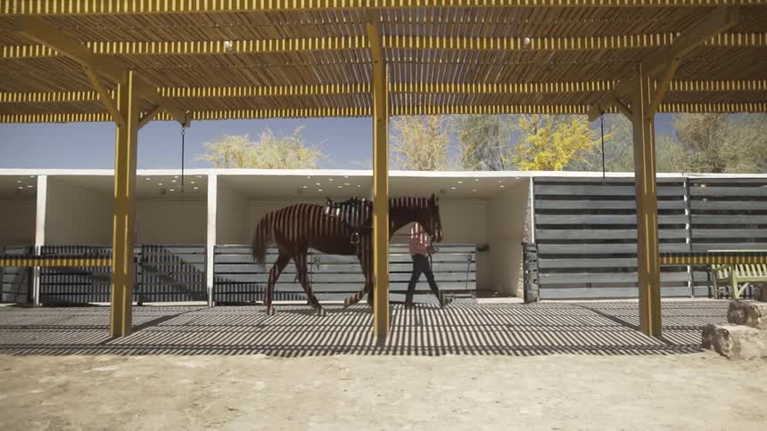 Woman leads a horse between structures on an autumn day