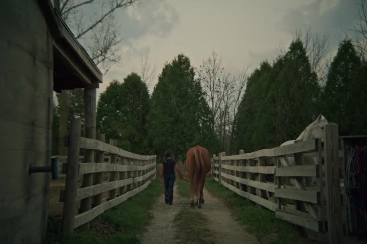 A woman walks a horse down a path past other horses behind a fence